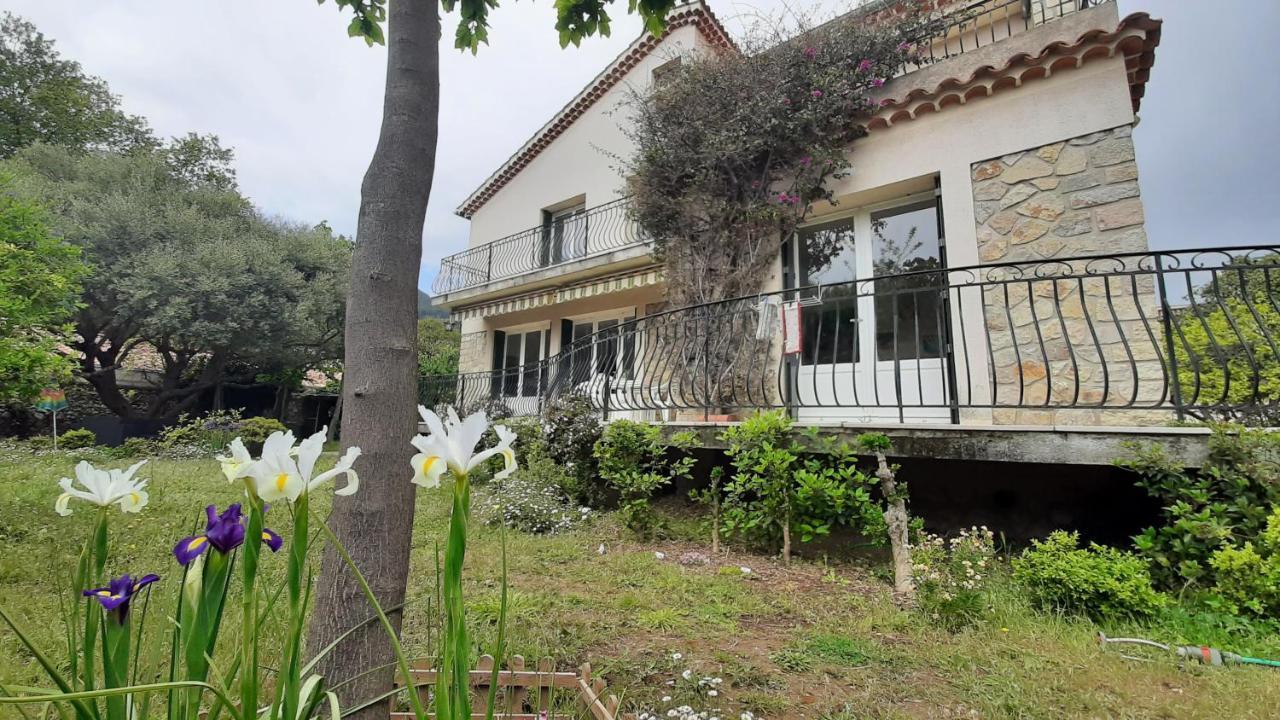 Maison Lumineuse Et Spacieuse Avec Jardin Arbore La Valette-du-Var Exterior photo